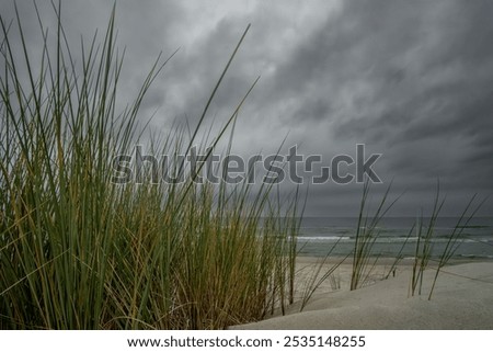 Similar – Image, Stock Photo The Gray Dunes, or the Dead Dunes is sandy hills with a bit of green specks at the Lithuanian side of the Curonian Spit