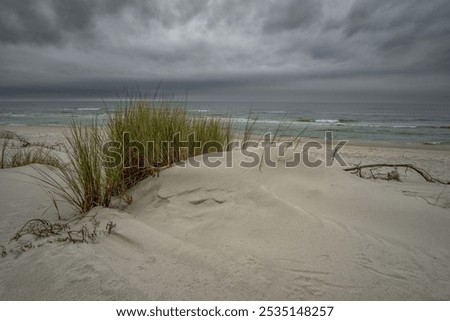 Similar – Image, Stock Photo Dramatic Baltic Sea against the light b/w