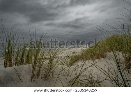 Similar – Image, Stock Photo The Gray Dunes, or the Dead Dunes is sandy hills with a bit of green specks at the Lithuanian side of the Curonian Spit