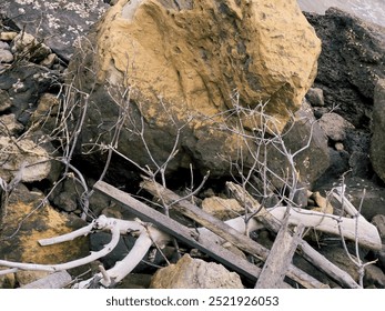 A dramatic beach scene with a large golden rock at the center, rough and textured. Scattered dry branches and wood lie among stones, with a faint sea in the background. The mood feels gloomy and chaot - Powered by Shutterstock