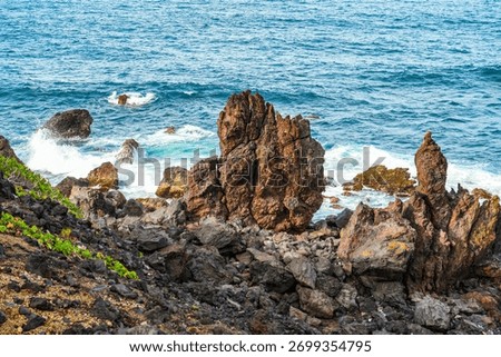 Dramatic black volcanic rock formations on the St. Kitts coast in the Caribbean