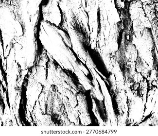 Dramatic black and white macro of jagged, peeling tree bark texture.