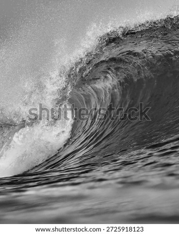 Dramatic Black And White Ocean Wave Crashing With Towering Crest And Foaming Spray, Frozen Motion Capturing