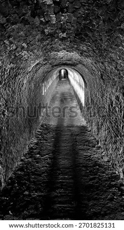 Dramatic black and white view of historic brick tunnel with strong leading lines and vanishing point