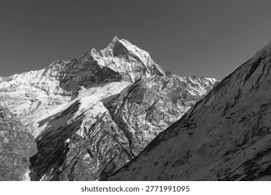 Dramatic black and white view of the Machhapuchre mountain peak in the Himalayas, Nepal, showcasing rugged snow-covered ridges and sharp alpine textures under a clear sky. This monochrome landscape emphasizes contrast, depth, and natural patterns of the high-altitude terrain, making it ideal for travel, adventure, nature, and minimalist design themes. A timeless representation of Himalayan wilderness and scenic mountain beauty.