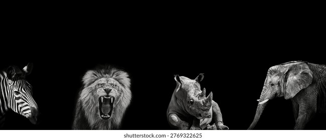 A dramatic black and white wildlife composition featuring a zebra, roaring lion, rhinoceros and elephant isolated on a dark background with generous copy space. Minimalistic and powerful design symbolizing strength, dominance, and the raw beauty of nature. Perfect for banners, branding, advertising, motivational concepts, and modern visual projects.