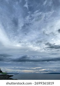 Dramatic blue and gray cloudy sky with cirrus and cumuls formation. Bird silhouette flying alone, symbolizing freedom and vastness.