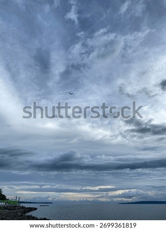 Dramatic blue and gray cloudy sky with cirrus and cumuls formation. Bird silhouette flying alone, symbolizing freedom and vastness.