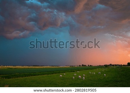 Dramatic blue storm clouds meet a colorful sunset over green pastoral field where sheep graze peacefully, contrasting the approaching storm with warm evening light and a vast rural horizon.