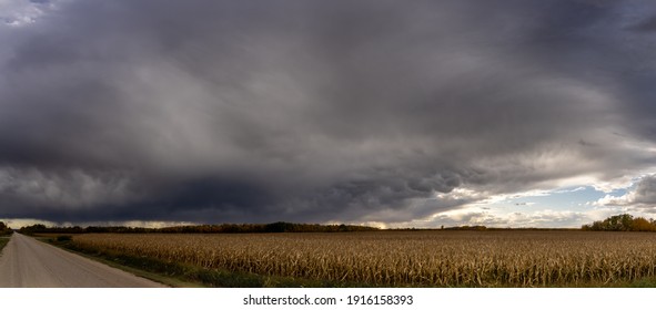 Dramatic blue-gray storm clouds over a autumn corn field with a gravel road extending off into the distance. - Powered by Shutterstock