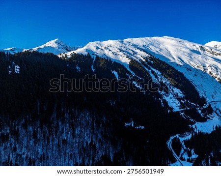 A dramatic and boldly structured aerial drone photograph of the Fagaras mountain range in Romania, captured from a lateral drone position that emphasizes the sweeping diagonal geometry of the mountain's forested mid-slope in a composition of strong graphic power. The image is defined by its exceptionally strong diagonal line the boundary between the deeply shadowed lower forest and the sunlit upper mountain terrain cuts boldly across the entire frame from lower right to upper left, creating a compositional dynamic unlike any other shot in this series. The lower left two-thirds of the frame is dominated by a vast, steeply inclined dark forest a dense mass of mixed spruce and bare deciduous trees rendered in deep blue-black tones, their individual forms barely distinguishable in the deep shadow. This shadowed forest mass fills the frame with a sense of weight and depth that makes the brilliant upper mountain world feel even more luminous by contrast. In the lower right corner, the Transfagarasan road is clearly visible executing a clean sharp hairpin curve, its pale surface and neat geometry standing out distinctly against the surrounding snow-covered terrain. A small structure or facility is visible near the road at this corner. Above the shadow boundary, the mid and upper slopes burst into full winter sunlight open snowfields alternating with diagonal conifer bands and avalanche channels sweep upward toward a broad, gently rounded summit that dominates the right side of the horizon. A sharper, more angular secondary peak appears on the left, partially separated from the main massif by a snow-filled col. A flawless cobalt-blue sky completes the scene.