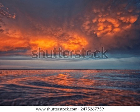 Similar – Image, Stock Photo Sunset sunlight above sea. Sea ocean water warm colors. Ripple sea ocean water foam washing sandy beach at sunset. Sea ocean water surface with small waves at sunset. Amazing landscape scenery. Copy space. Nature background. Vertical photo