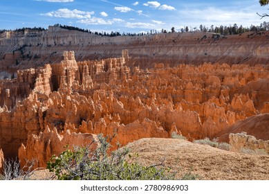 Dramatic canyon view with numerous orange hoodoos, serene and majestic. Perfect for travel, nature, geology