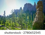 Dramatic Cathedral Spires rock formations in Custer State Park, South Dakota, showcasing towering granite pinnacles rising from rugged Black Hills landscape under expansive blue skies.
