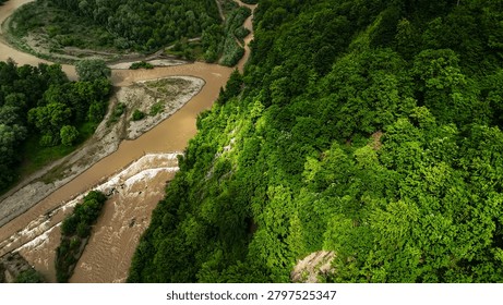 Dramatic cliffside forest drops to a roaring river where channels merge. Sunlight grazes bright leaves while whitewater churns below. Energetic aerial scene of rugged terrain and green life.