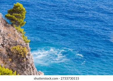 A dramatic cliffside scene with a green pine tree perched on rugged rock, overlooking a vibrant turquoise sea and white foamy waves. Serene, natural coast mood with bold blue water. Montenegro