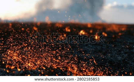 A dramatic close-up captures the intense heat of a field fire, with glowing embers in the foreground and smoke billowing into the sunset sky.