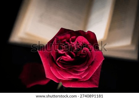 A dramatic close-up of a deep red rose in full bloom, sharply focused against a softly blurred open book in the background. The velvety petals glow under warm light, creating rich shadows and depth, while the out-of-focus pages add a poetic and romantic atmosphere. A striking contrast between passion and literature, symbolizing love, emotion, and timeless beauty.
