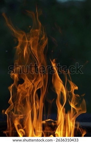 Dramatic Close-Up of Orange Flames with Green Background: Concept of Fire Safety and Campfires