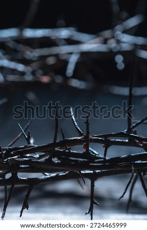 Dramatic close-up of a thorn crown representing pain, torment, endurance, and spiritual suffering in biblical context.