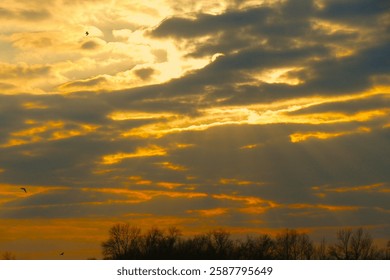 Dramatic clouds in colorful sunset with flaying birds