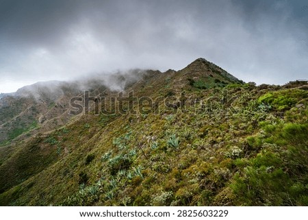 Dramatic clouds drift over the rugged, verdant slopes of the Teno Mountains on Tenerife, showcasing a wild, natural landscape