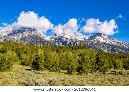 Dramatic clouds hover above jagged snowcapped Teton peaks rising over a forested meadow