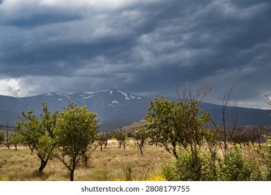 Dramatic clouds loom over distant snow-capped mountains. Trees stand in golden, dry grassland below. Dark sky hints at imminent rain or storm. Natural landscape evokes awe and quiet tension