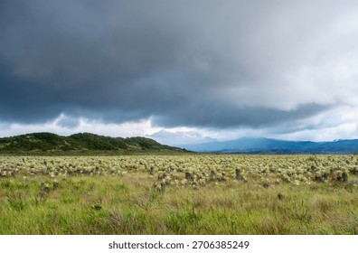 Dramatic clouds over a vast landscape with lush greenery, showcasing the stunning nature of Purace, Cauca in Colombia.