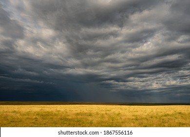 Dramatic Clouds Over Yelow Field in Countryside of Suth Dakota