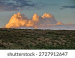 Dramatic cloudscape over open grassland in the Pura Nature Reserve, Israel. Golden cumulus clouds illuminated by evening light rise above a wide natural landscape with rolling hills and sparse vegetation. Scenic Mediterranean countryside with a calm and peaceful atmosphere, offering wide copy space and a clean horizon. Ideal for use as a natural background for graphic design, presentations, banners, environmental concepts, weather themes, and landscape-related visual projects.