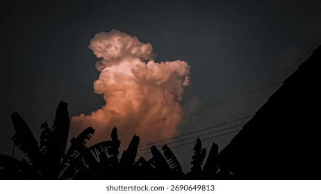 Dramatic Cloudscape with Silhouette of Banana Tree and Building Roofscape