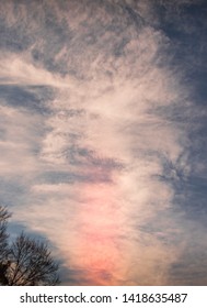 Dramatic cloudscape with the silhouetted top of a tree image with copy space in portrait format