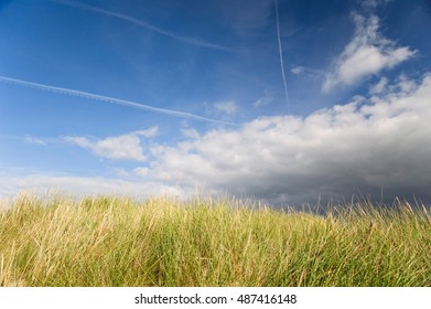Dramatic cloudy sky above yellow grass
