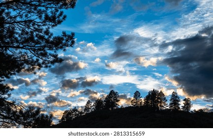 Dramatic cloudy sky over a silhouetted treeline