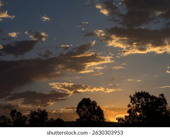 Dramatic Cloudy Sunset Sky Over Trees