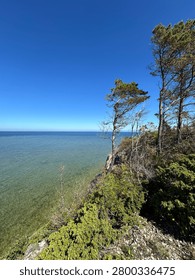 Dramatic coastal landscape featuring wind-shaped trees on a rocky cliff overlooking calm, crystal-clear sea under a vivid blue sky. Ideal for travel, nature, conservation, and outdoor adventure concepts.