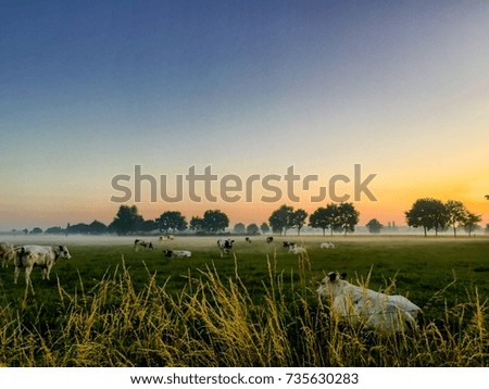 Oktoberwiese II Umwelt