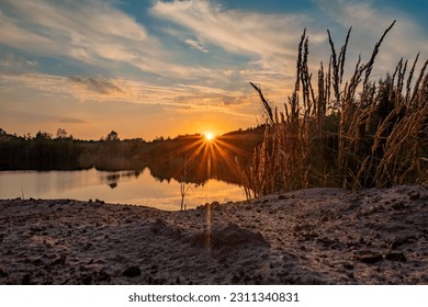 Dramatic and colorful sky at sunset or sunrise over the lake through the forest trees behind a foreground of high grass on a sandy wwaterside. High quality photo - Shutterstock ID 2311340831