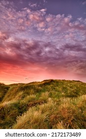 Dramatic copyspace landscape of purple sky and sunset on west coast of Jutland in Loekken, Denmark. Sun setting on the horizon on an empty meadow at night with copy space. Sun rising over a field