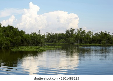 Dramatic Cumulus Cloud Reflected in New Orleans Bayou Swamp