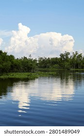 Dramatic Cumulus Cloud Reflected in New Orleans Vertical Bayou Landscape