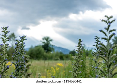 dramatic dark clouds landscape