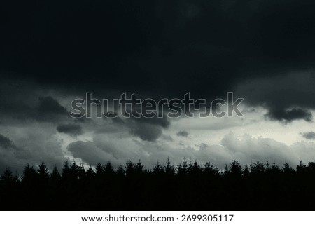 Dramatic dark storm clouds gathering above a dense forest before heavy rainfall. Moody natural landscape.