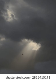 Dramatic dark storm clouds over a city skyline with a beam of sunlight breaking through. A single bird flies through the god rays, creating a hopeful and moody atmosphere. perfect for themes of hope, weather, and urban nature.