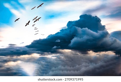 Dramatic dark stormy clouds and flying birds silhouette high contrast scenic sky