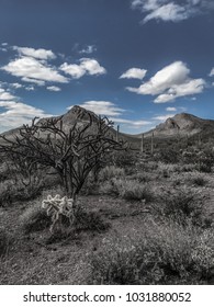 Dramatic Desert Mountain Cactus Landscape