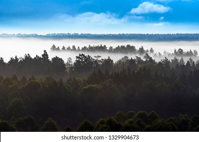 Dramatic Early Morning Mist over Forest Valley at Altai Mountains, Kazakhstan. Fantasyland, Blue Hour Concept
