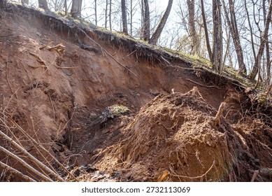 Dramatic earth collapse on a sandy slope of a ravine in early spring, revealing exposed roots and raw soil under a canopy of bare trees. The raw power of nature is evident in this geological event