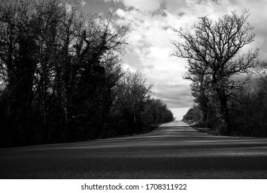 Dramatic empty road scene with trees.